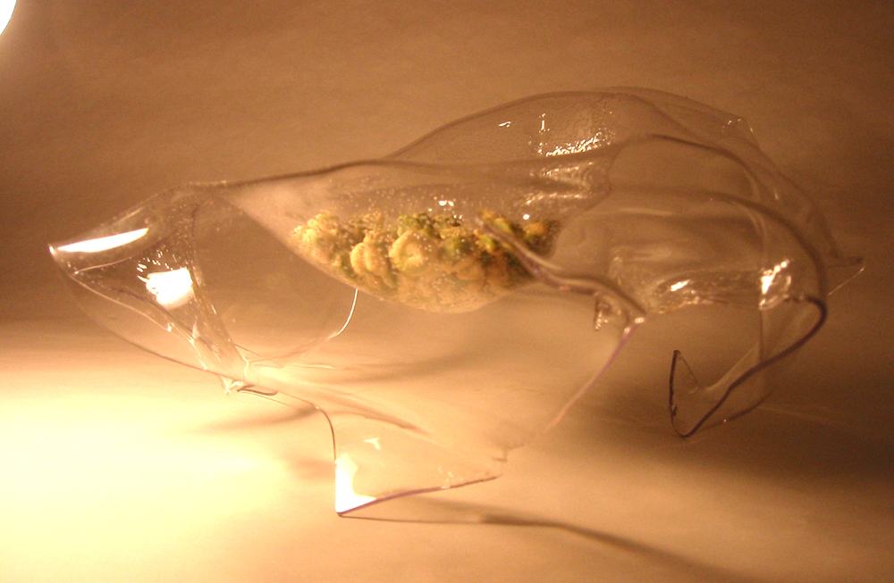bowl_inverted_clear1
