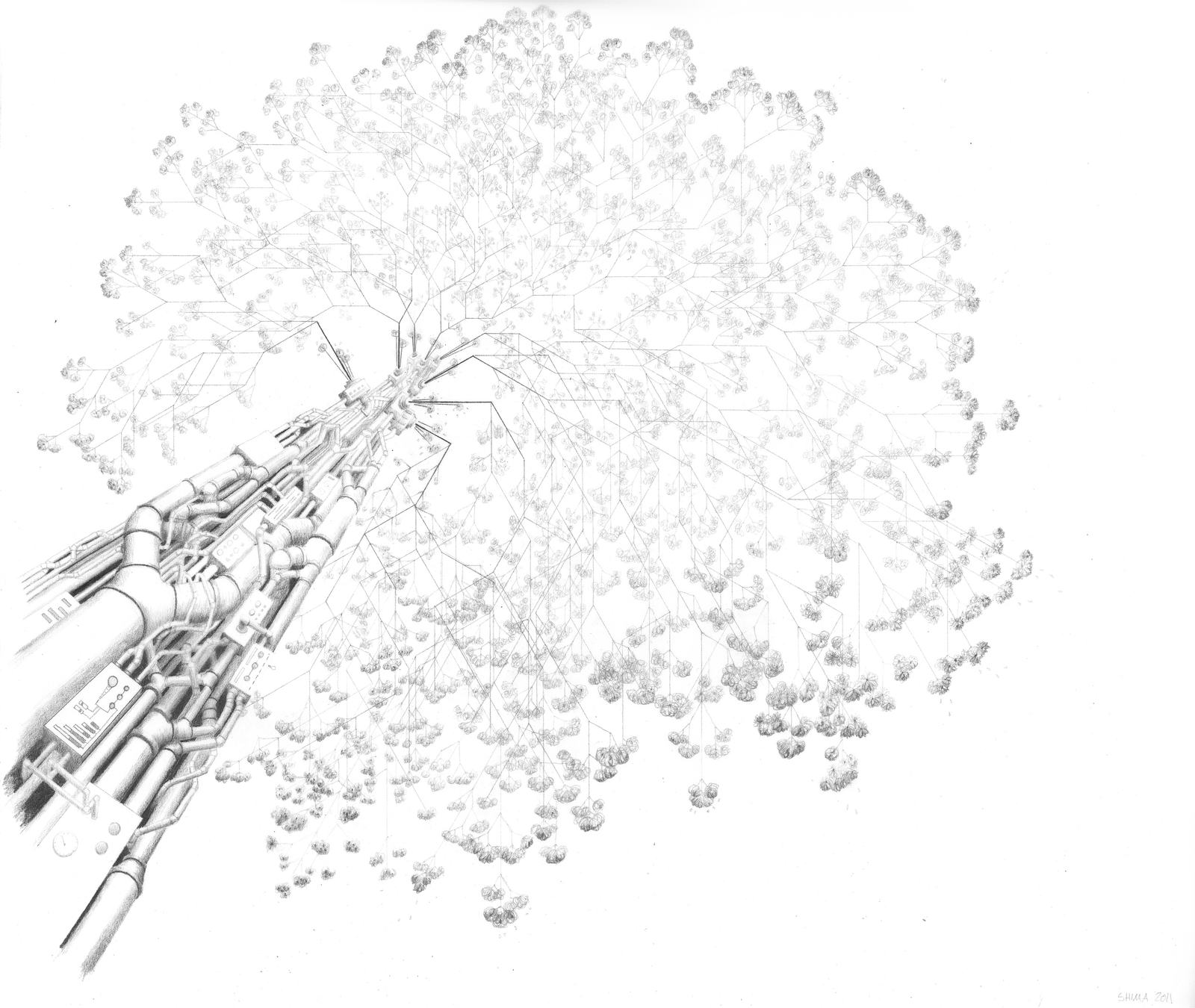 cherry_explosion