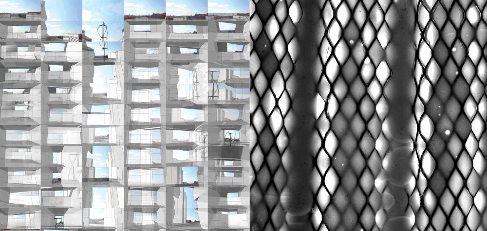 Immersive Elasticity
