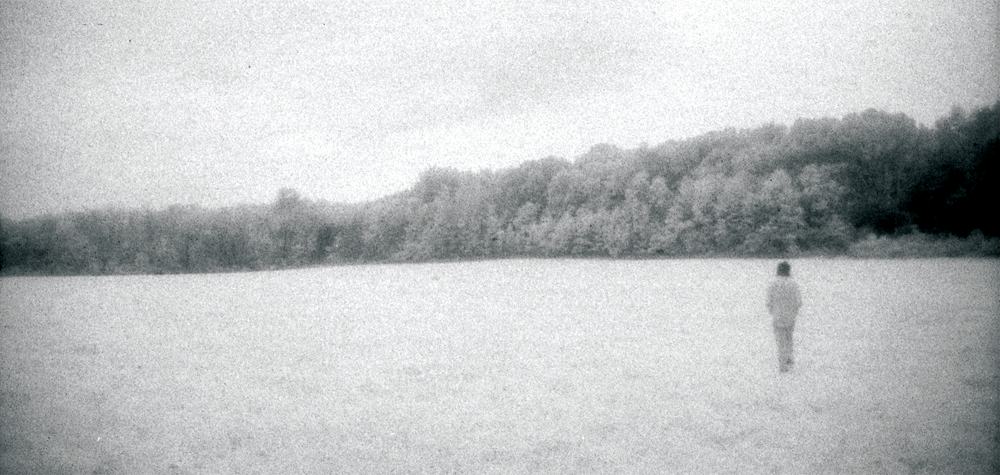 Field, 2005