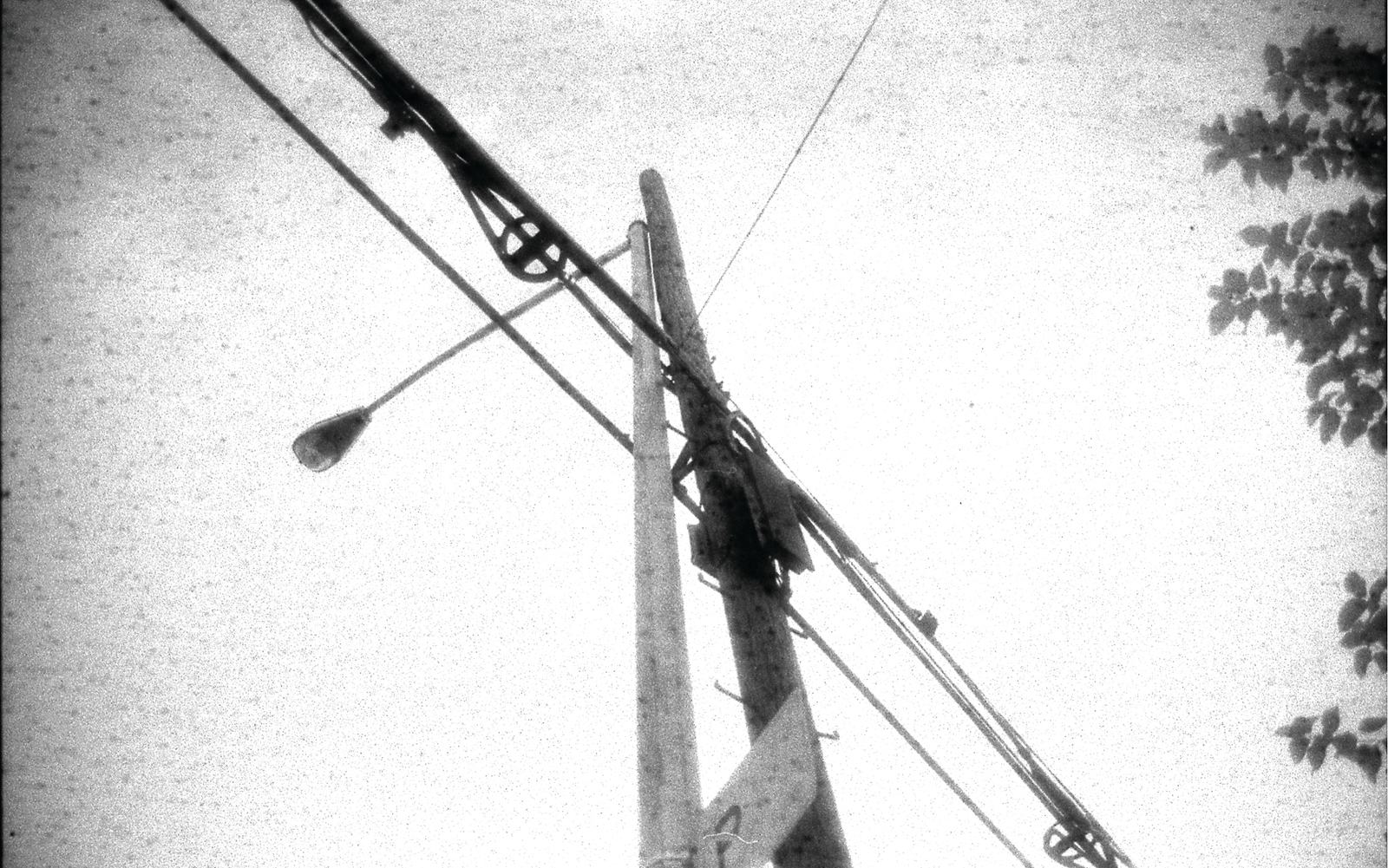 Lamp Post, 2005