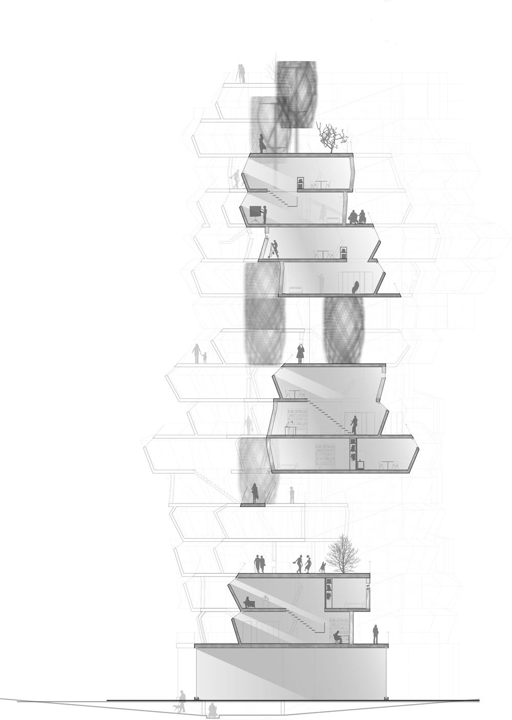 Immersive Elasticity
