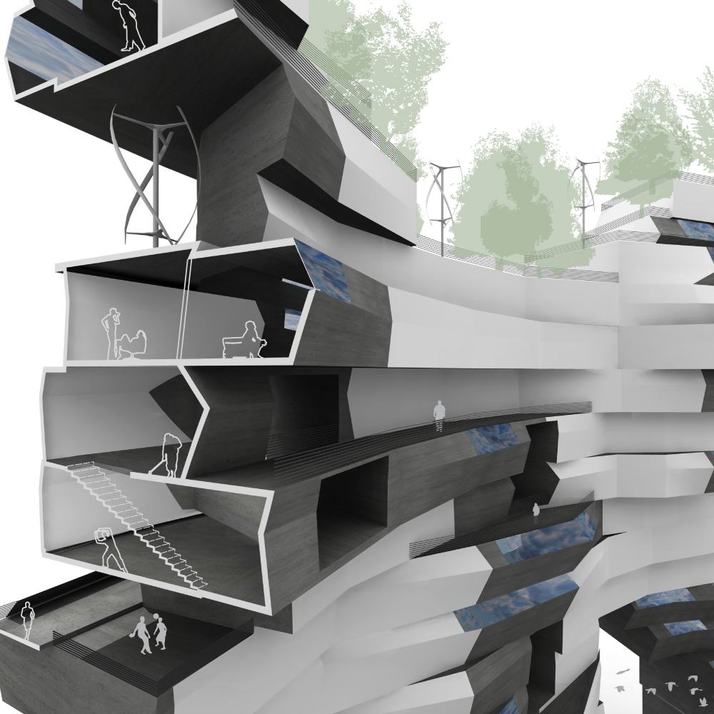 Immersive Elasticity