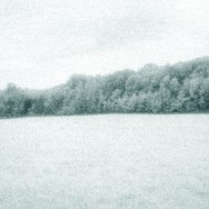 Field, 2005